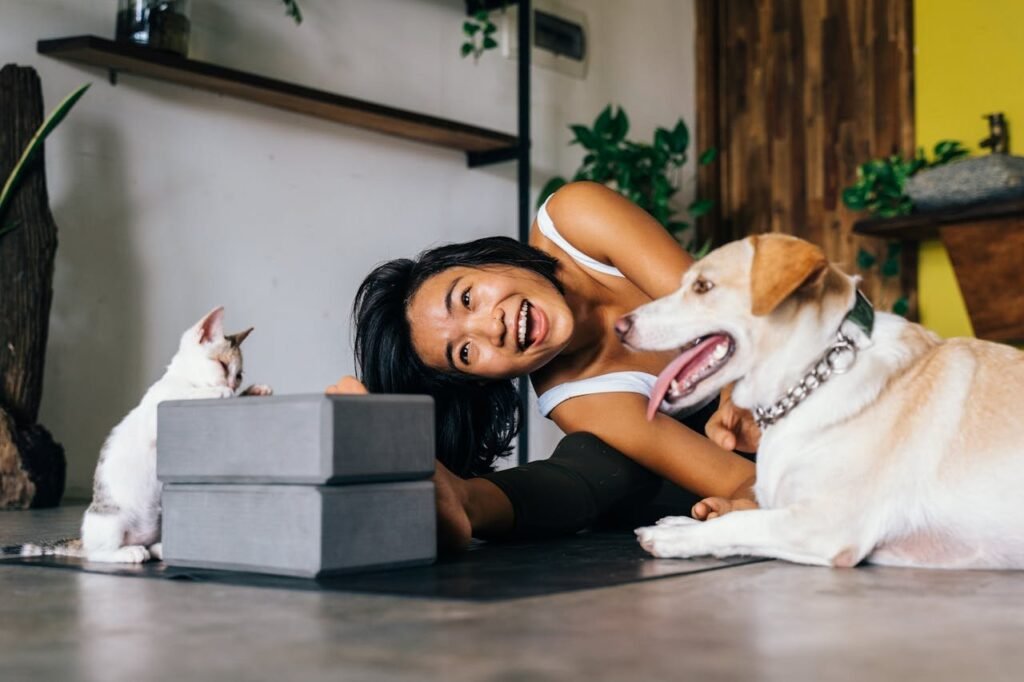 Seasonal Pet Care: Protecting Your Pet from Summer and Winter Hazards